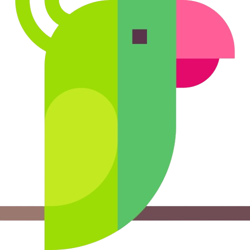 Probe
